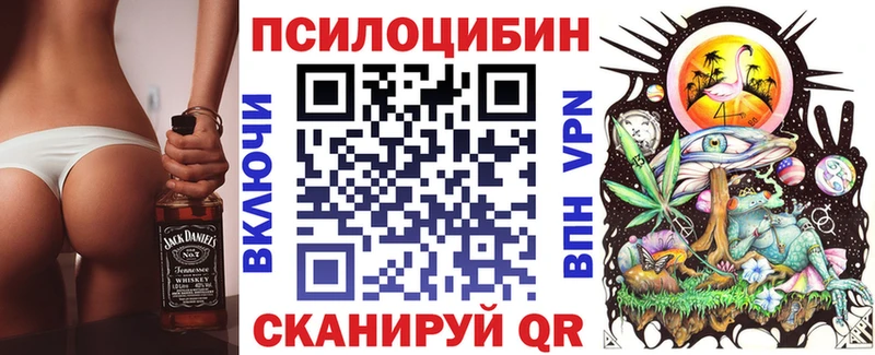 где продают наркотики  Железногорск  Псилоцибиновые грибы мицелий 